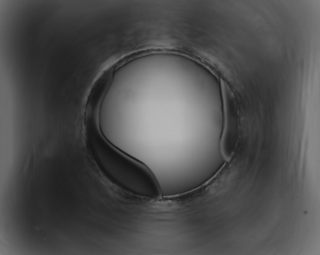 X0000095551168200712140929