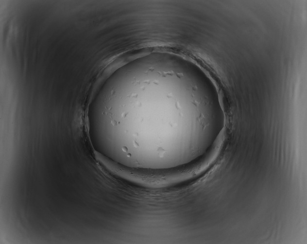X0000095551169200712140929