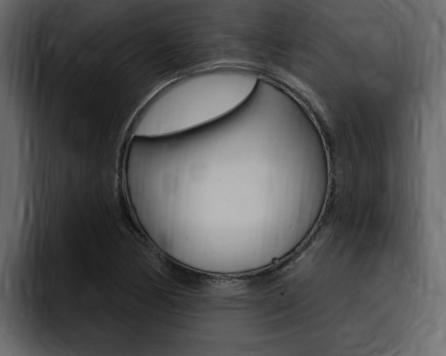 X0000095551170200712140929