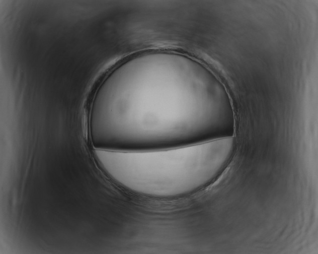X0000095551171200712140929