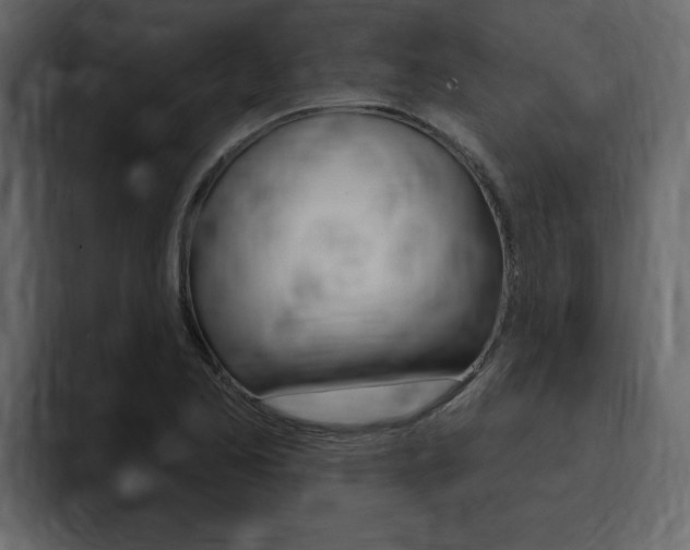X0000095551173200712140929