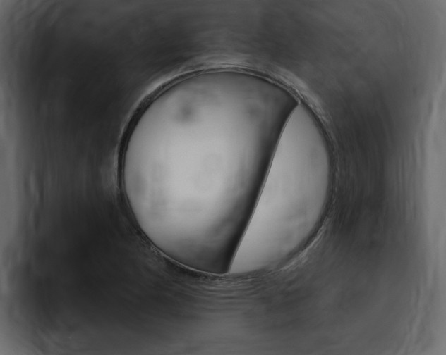 X0000095551174200712140929