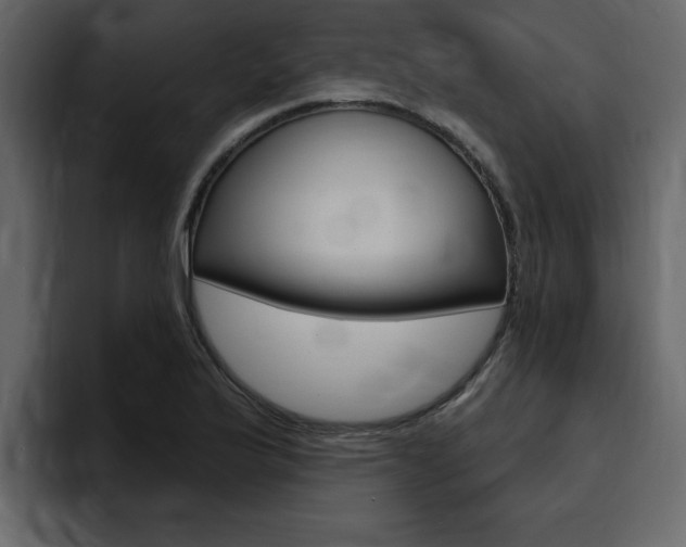 X0000095551175200712140929