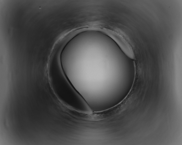 X0000095551176200712140929