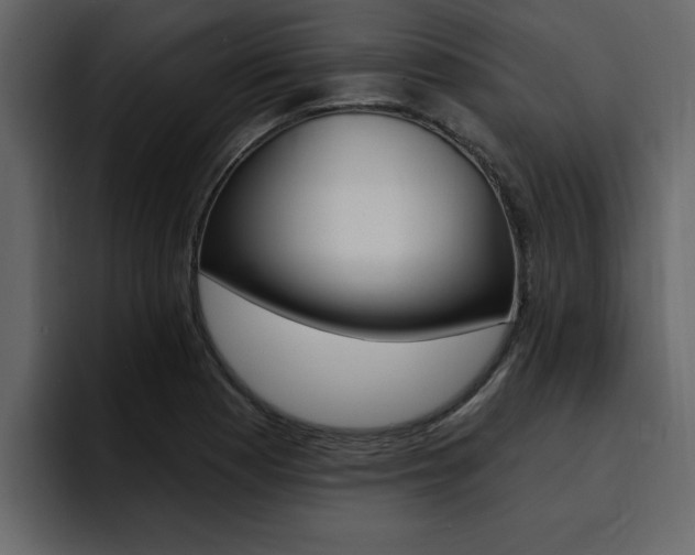 X0000095551177200712140929
