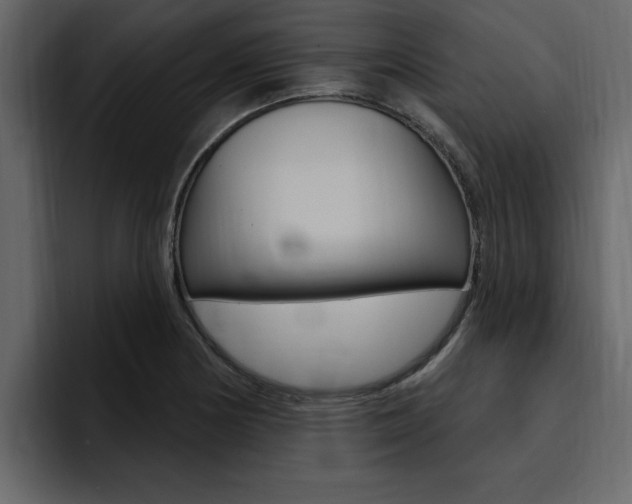X0000095551178200712140929