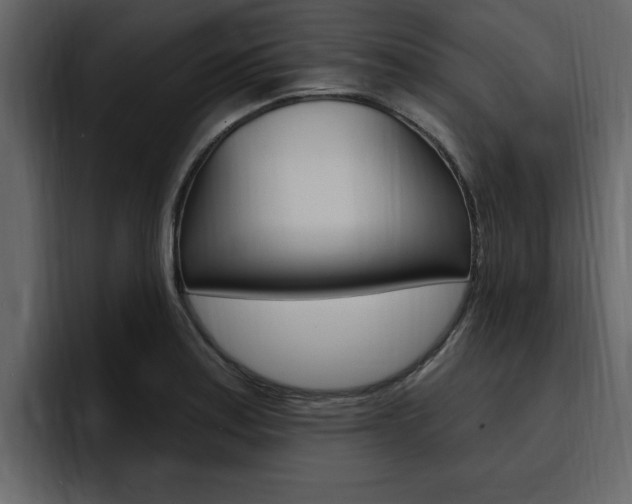 X0000095551179200712140929