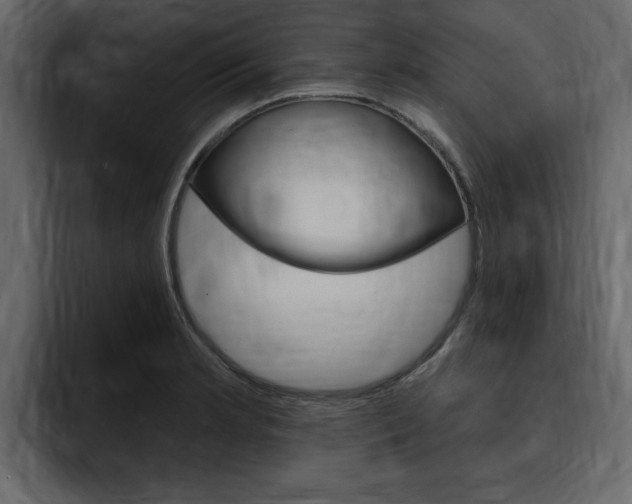 X0000095551181200712140929
