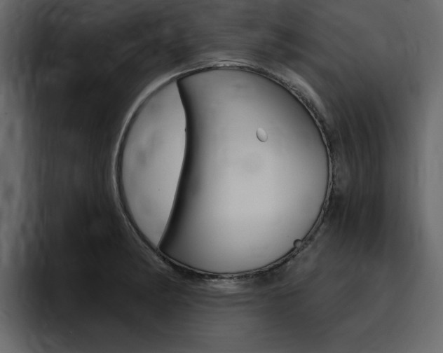 X0000095551182200712140929