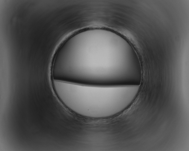 X0000095551183200712140929
