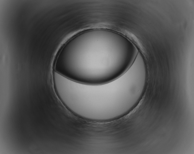 X0000095551184200712140929