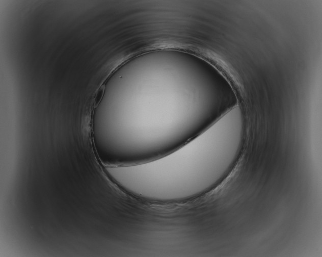 X0000095551185200712140929