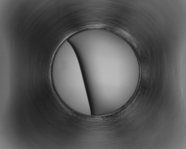 X0000095551186200712140929