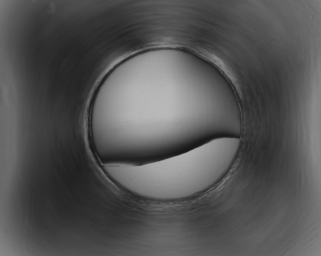 X0000095551187200712140929
