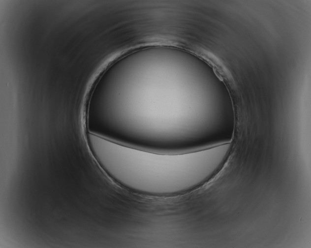 X0000095551188200712140929