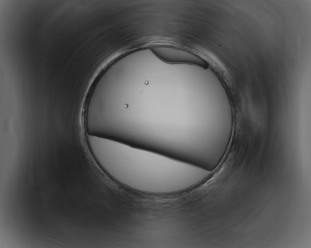 X0000095551190200712140929
