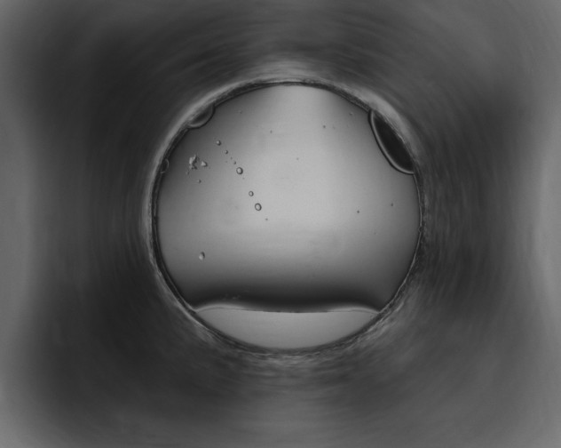 X0000095551191200712140929