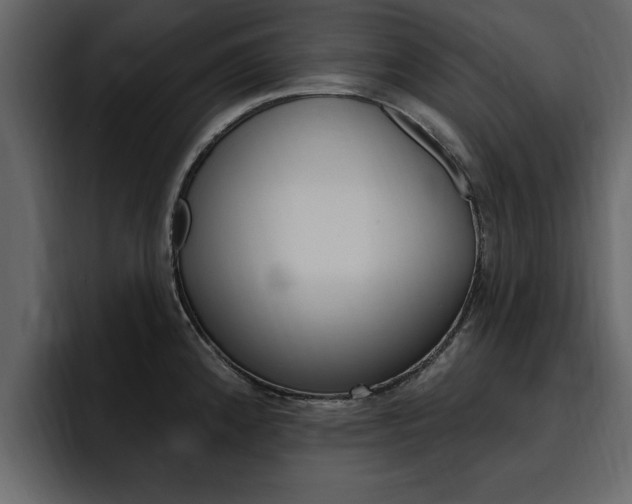 X0000095551192200712140929