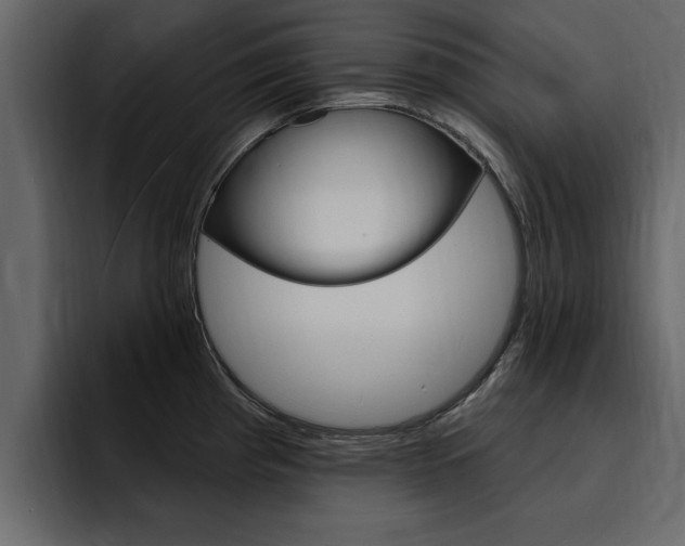 X0000095551193200712140929