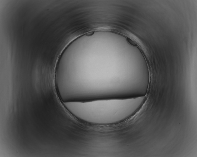 X0000095551194200712140929