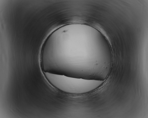 X0000095551195200712140929