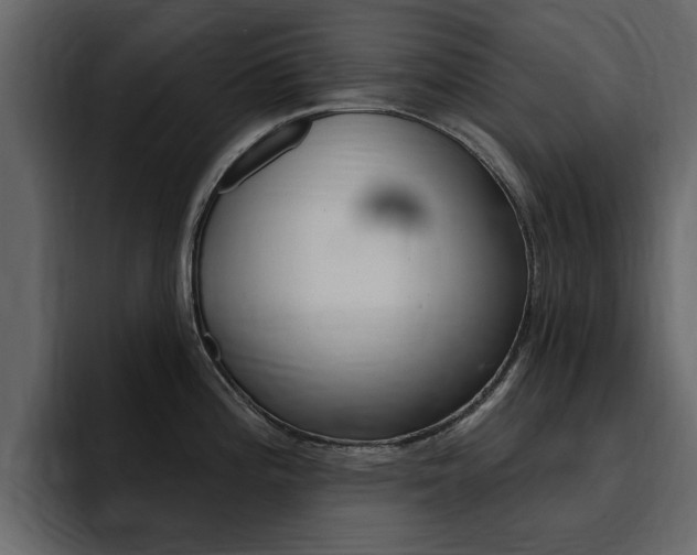 X0000095551196200712140929