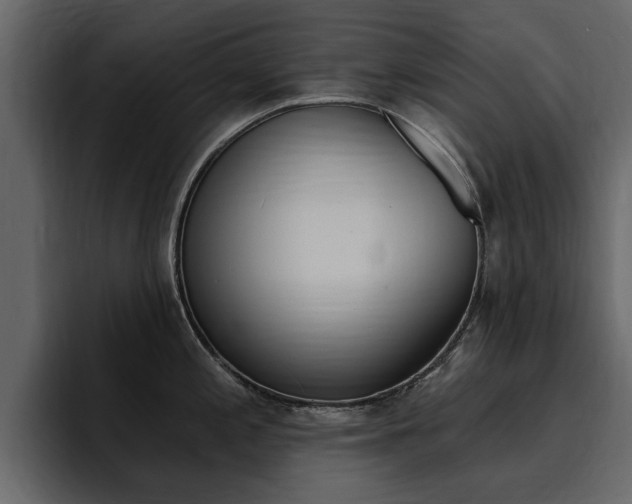 X0000095551197200712140929
