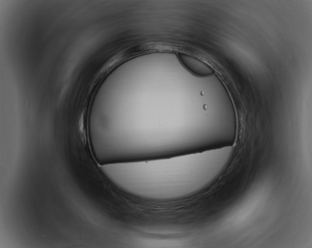 X0000095551198200712140929