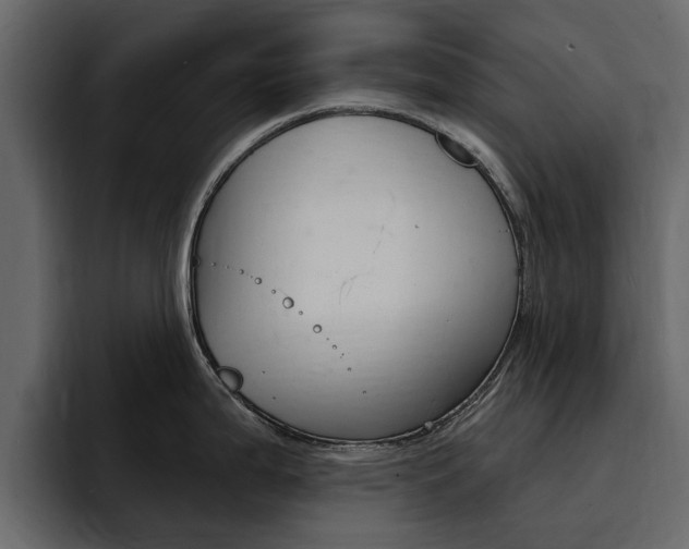 X0000095551199200712140929