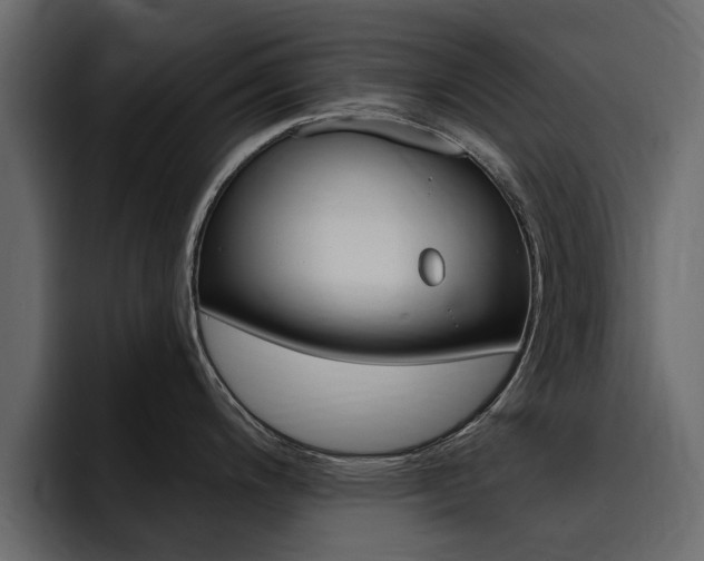 X0000095551200200712140929