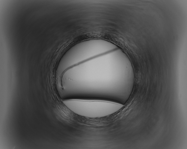 X0000095551201200712140928