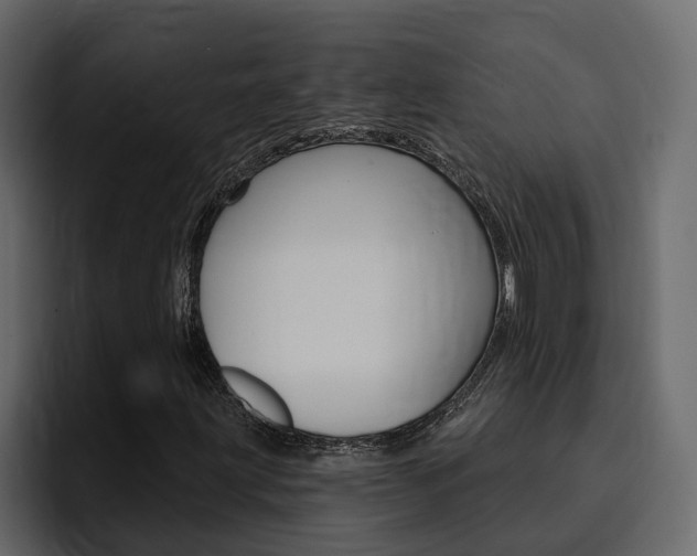 X0000095551203200712140928