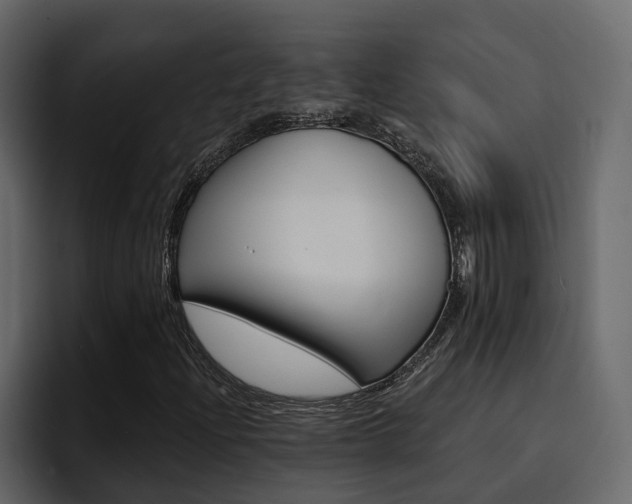 X0000095551204200712140928