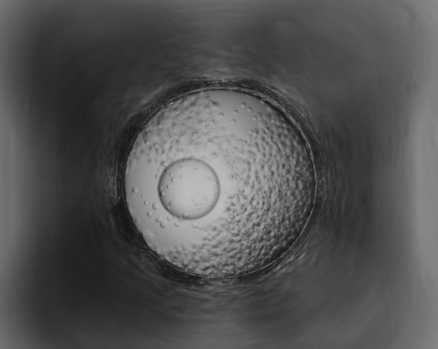 X0000095551205200712140928