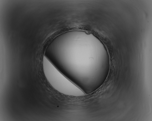 X0000095551206200712140928