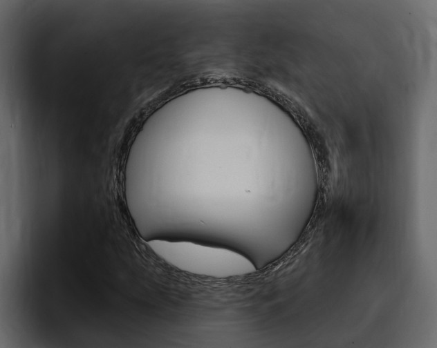 X0000095551207200712140928