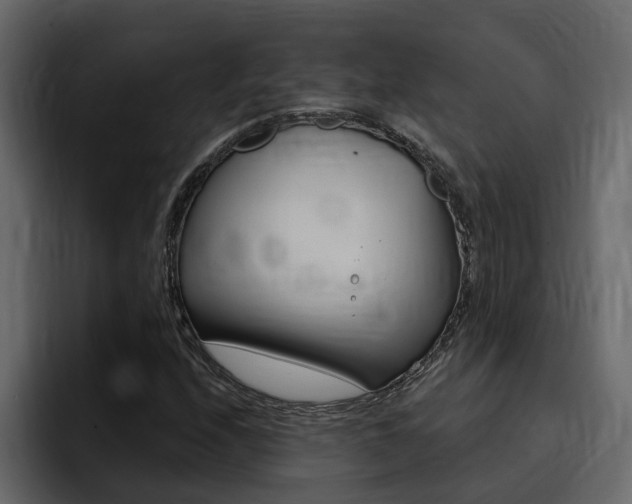 X0000095551208200712140928