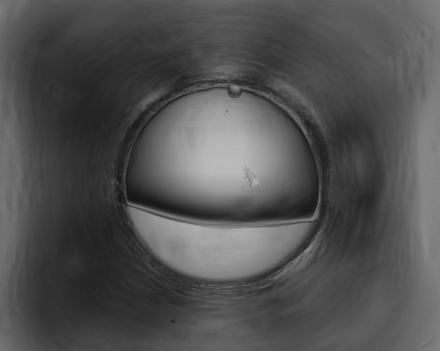 X0000095551210200712140928