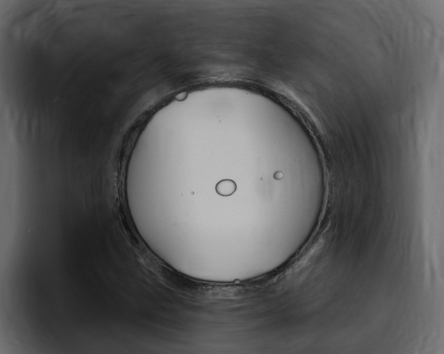 X0000095551211200712140928
