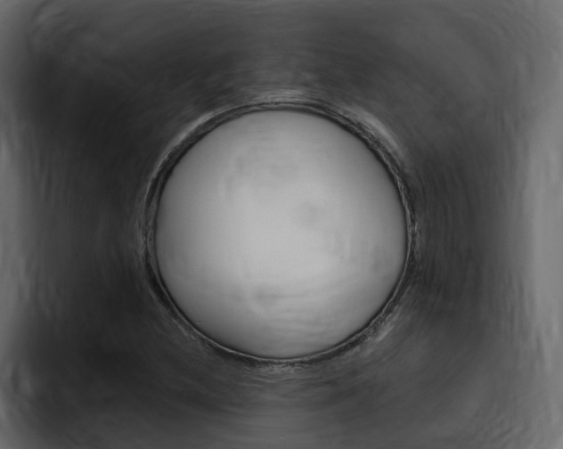 X0000095551212200712140928