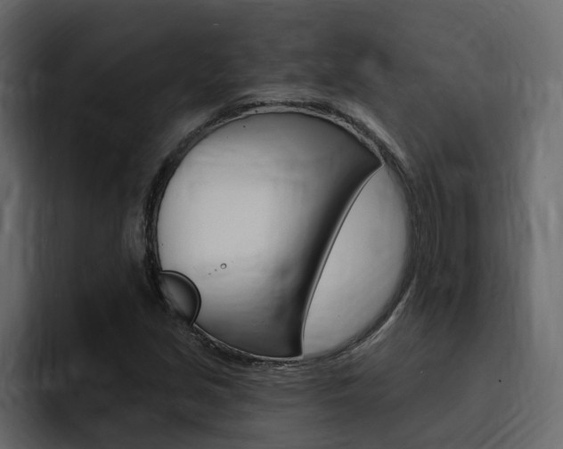 X0000095551213200712140928