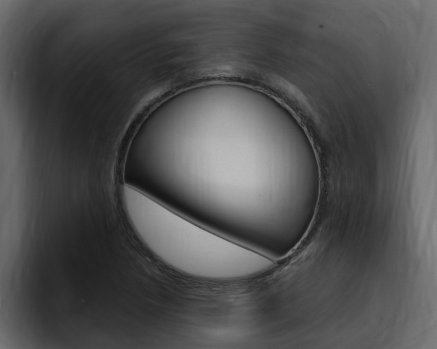X0000095551218200712140929