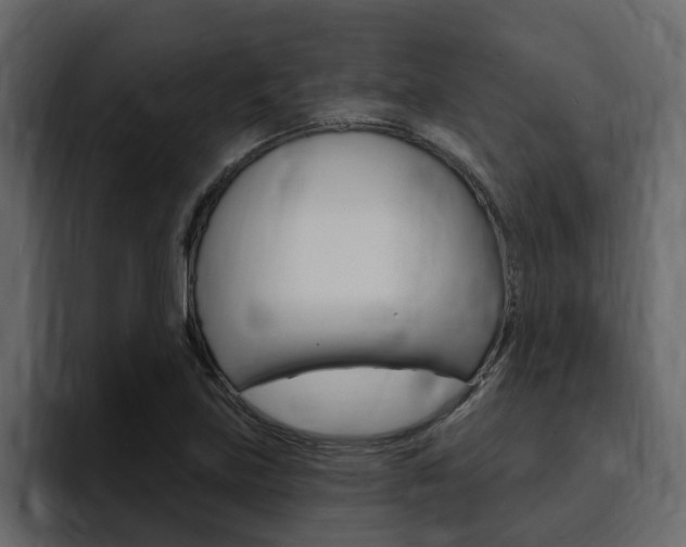 X0000095551219200712140929