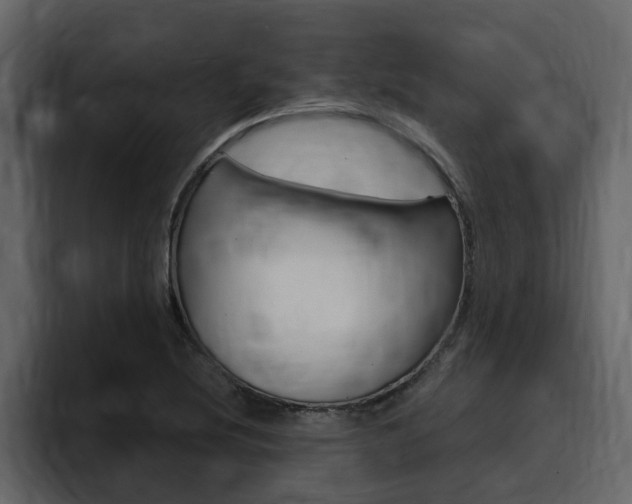 X0000095551220200712140929