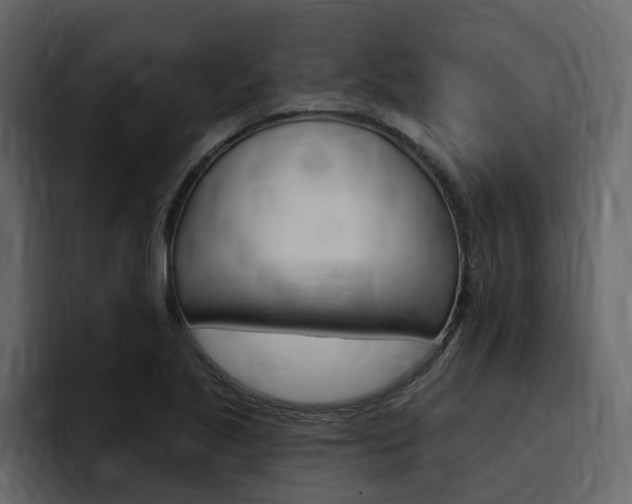 X0000095551221200712140929