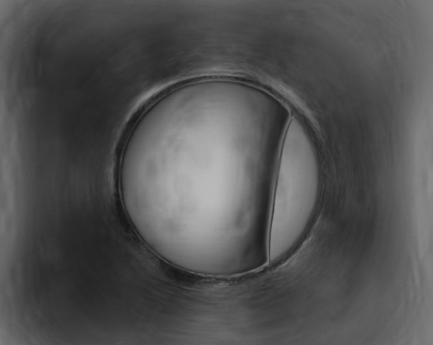 X0000095551222200712140929