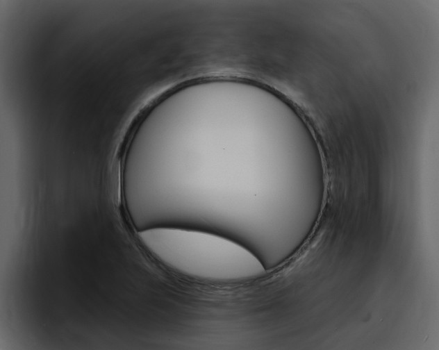 X0000095551223200712140929
