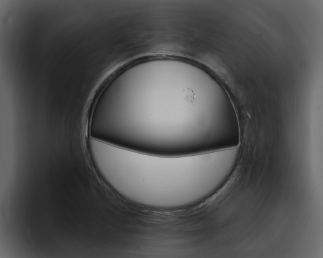 X0000095551224200712140929