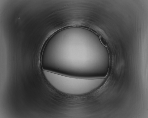 X0000095551226200712140929