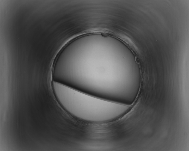 X0000095551228200712140929